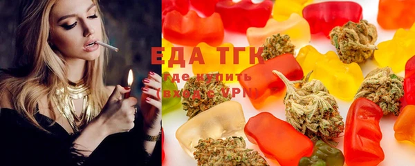 сатива Новозыбков