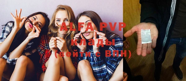 сатива Новозыбков